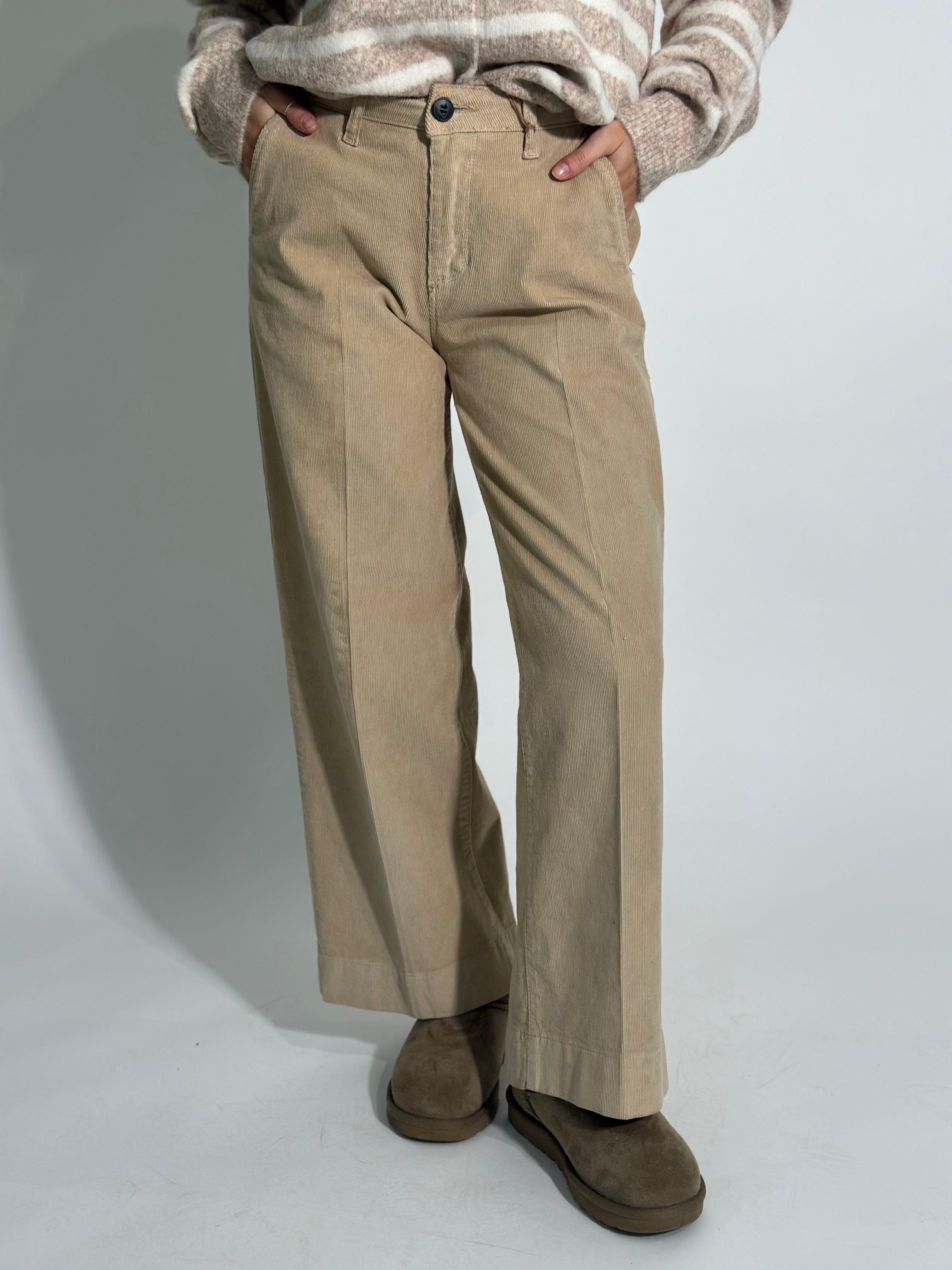 Pantalone velluto 2482
