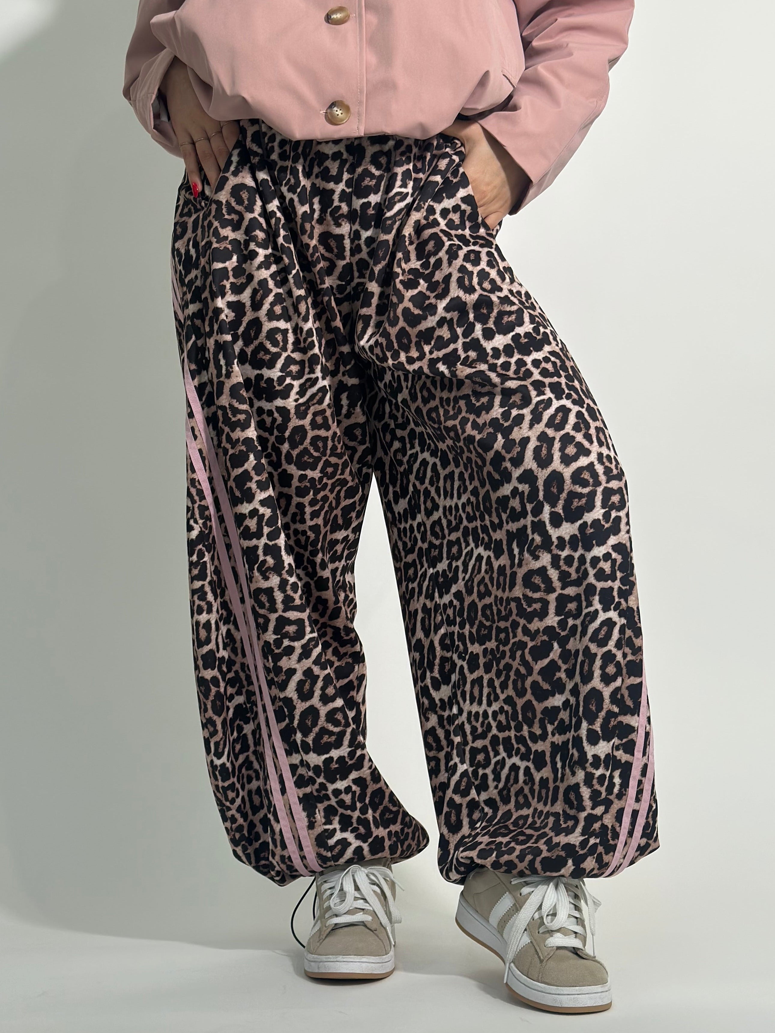 Panta leo 2174